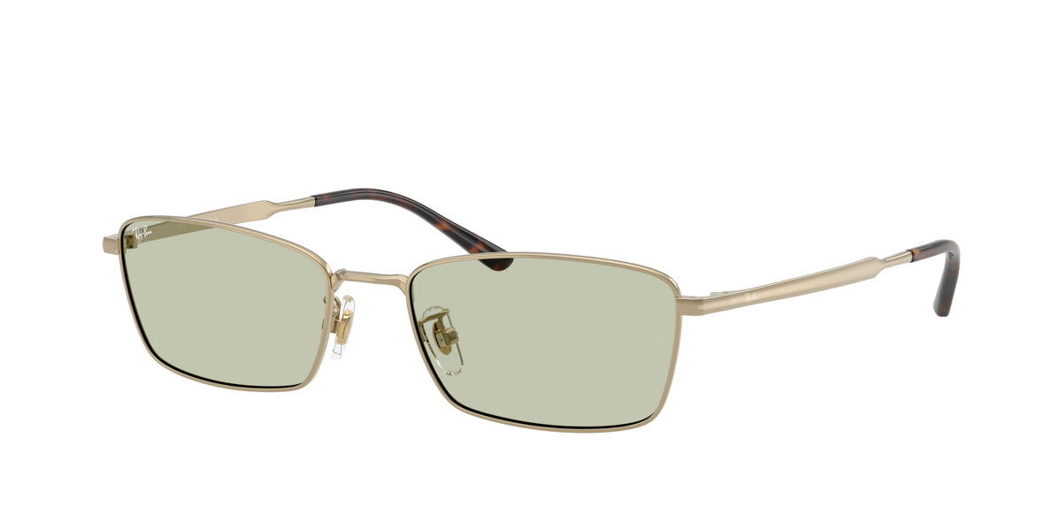 Ray-Ban RB8069D