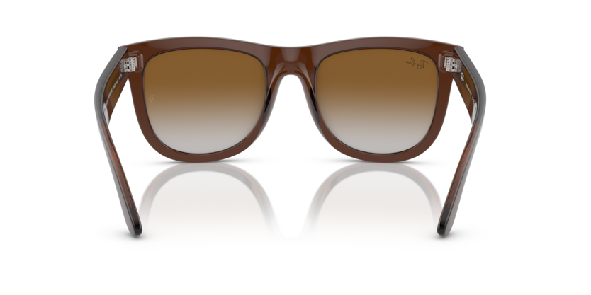 Ray-Ban RBR0502S - Wayfarer reverse