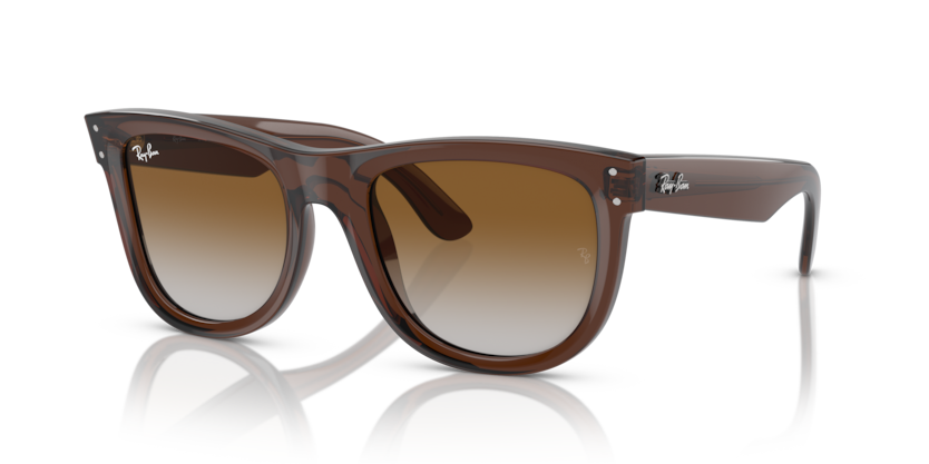 Ray-Ban RBR0502S - Wayfarer reverse