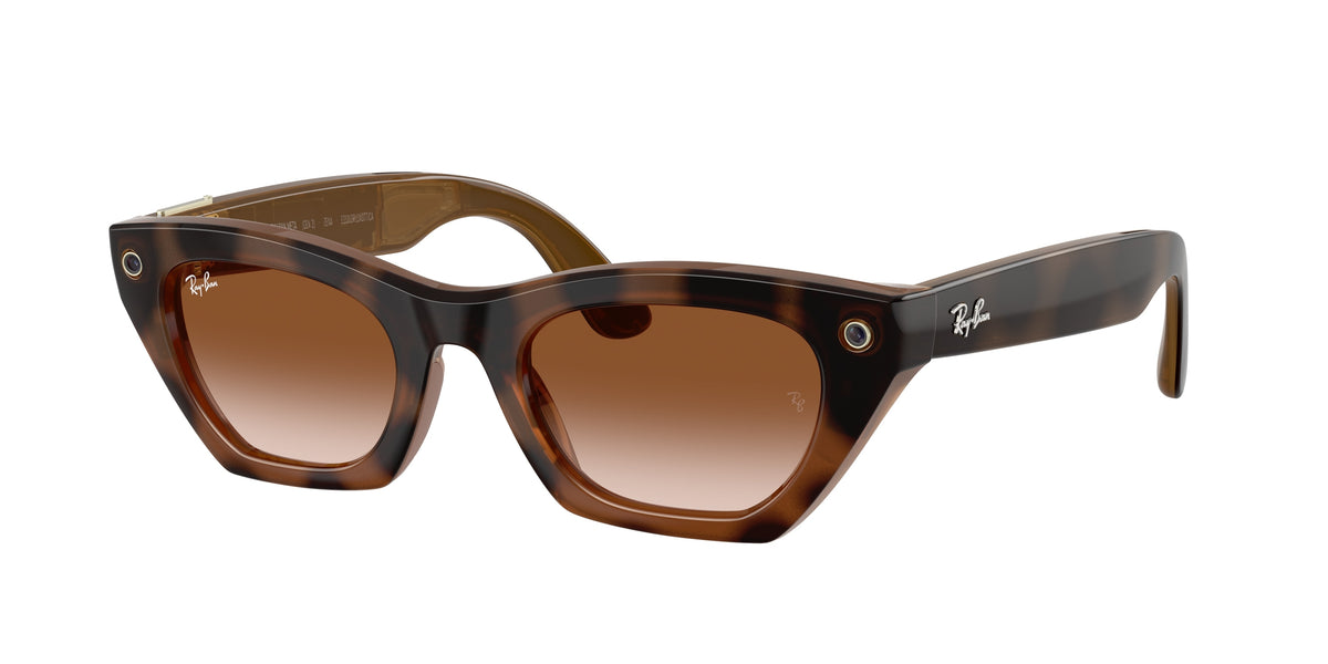 Ray-Ban Meta RW4015 - Zena