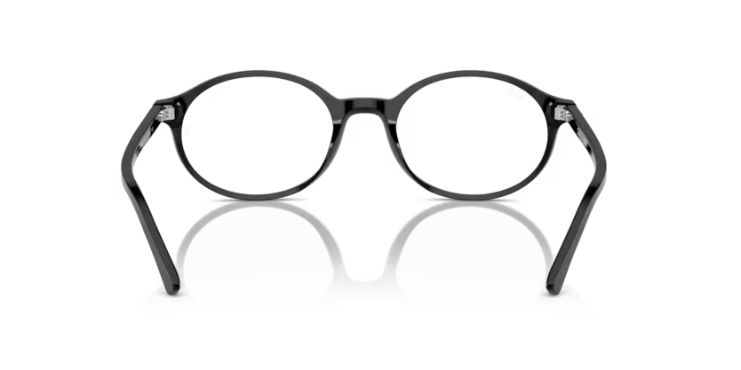 Ray-Ban RX5429 - German