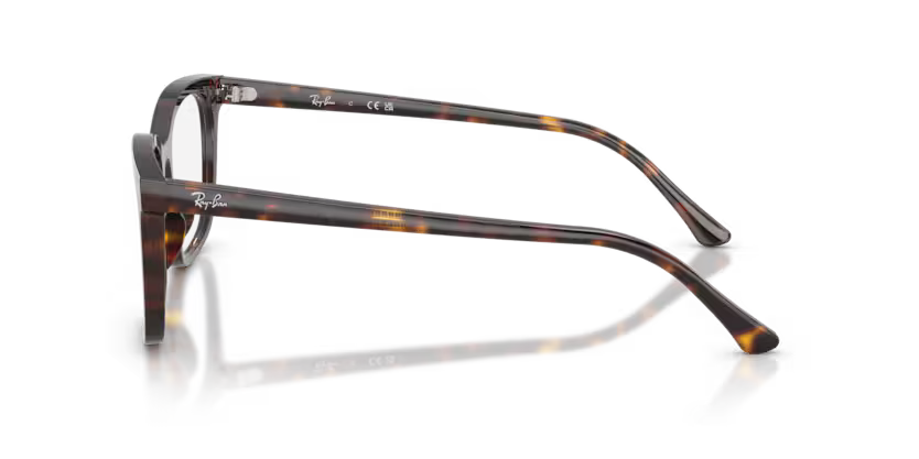Ray-Ban RX5446