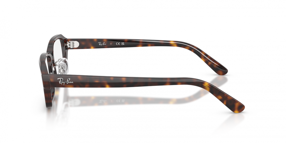 Ray-Ban RX5458D