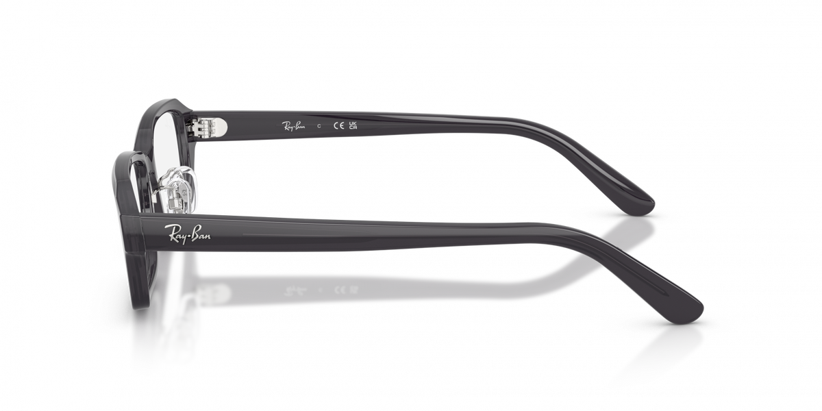 Ray-Ban RX5458D