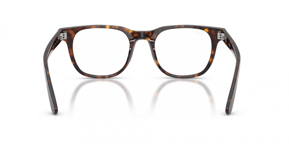 Ray-Ban RX5461D