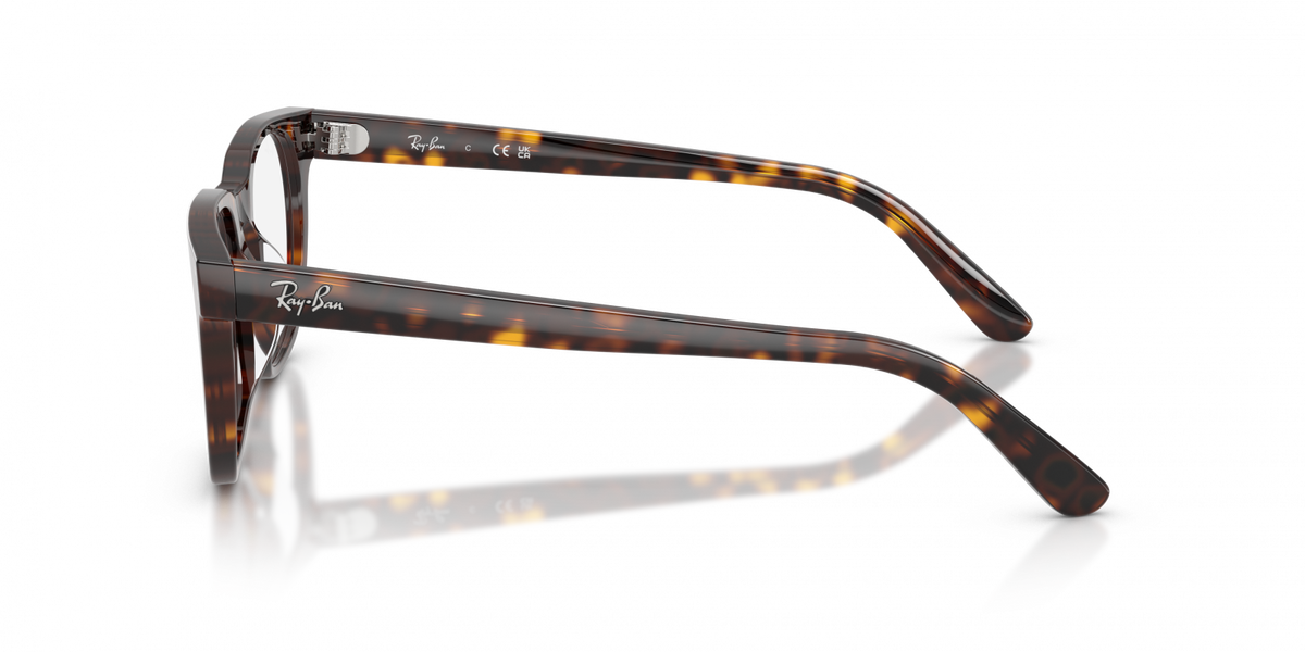 Ray-Ban RX5461D