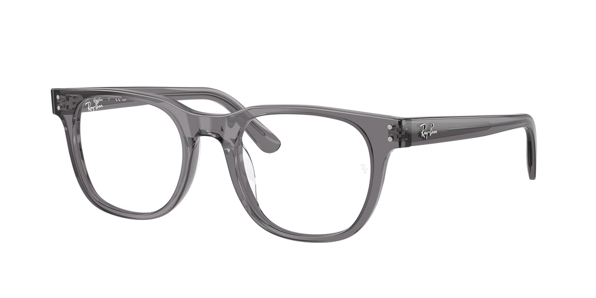 Ray-Ban RX5461D