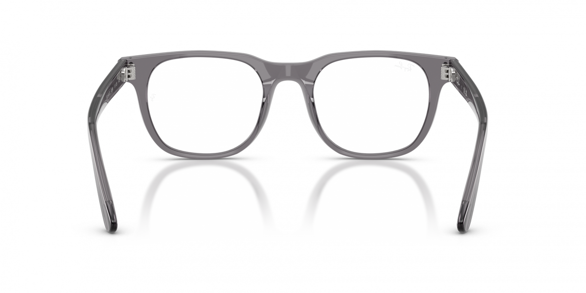 Ray-Ban RX5461D