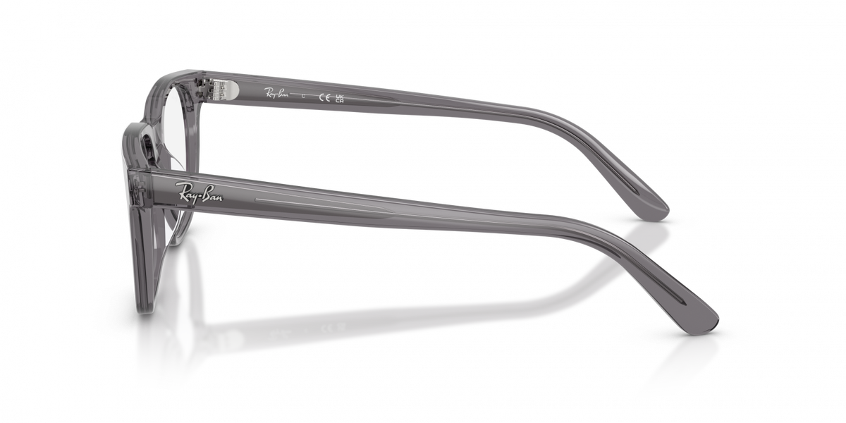 Ray-Ban RX5461D