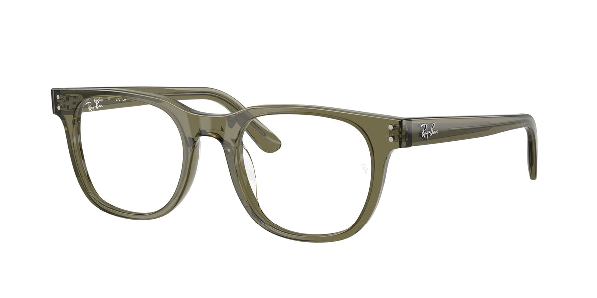 Ray-Ban RX5461D