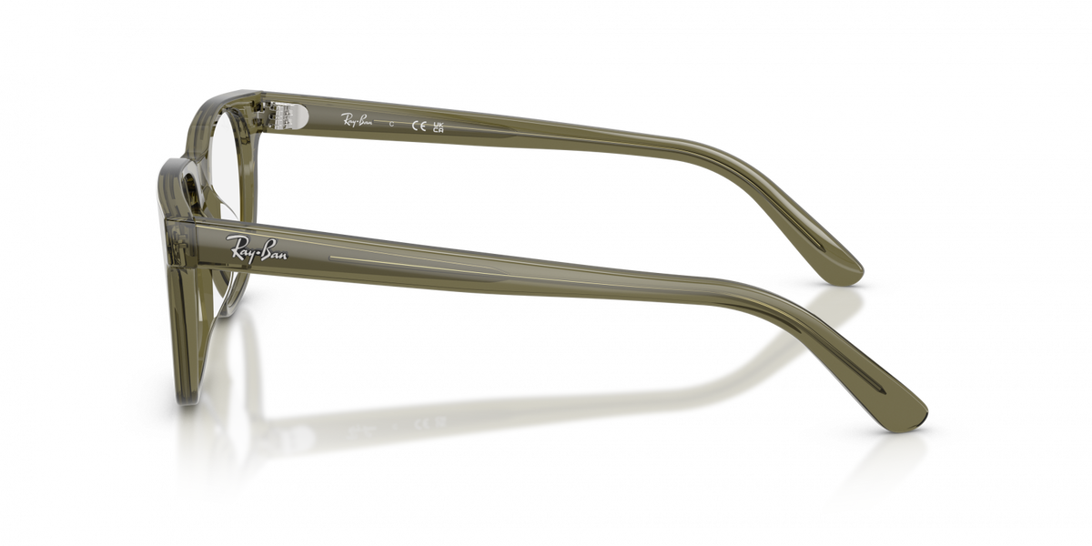 Ray-Ban RX5461D