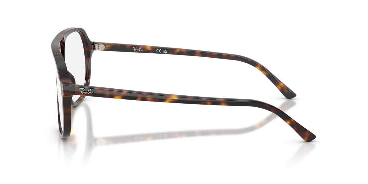 Ray-Ban RX5698