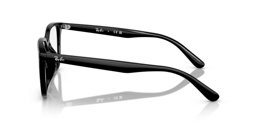 Ray-Ban RX7248D