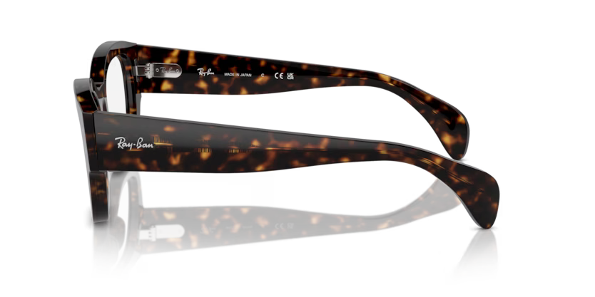 Ray-Ban RX7681V - Jorge