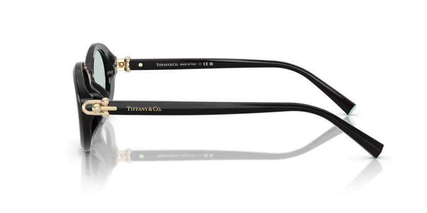 Tiffany & Co TF4242D