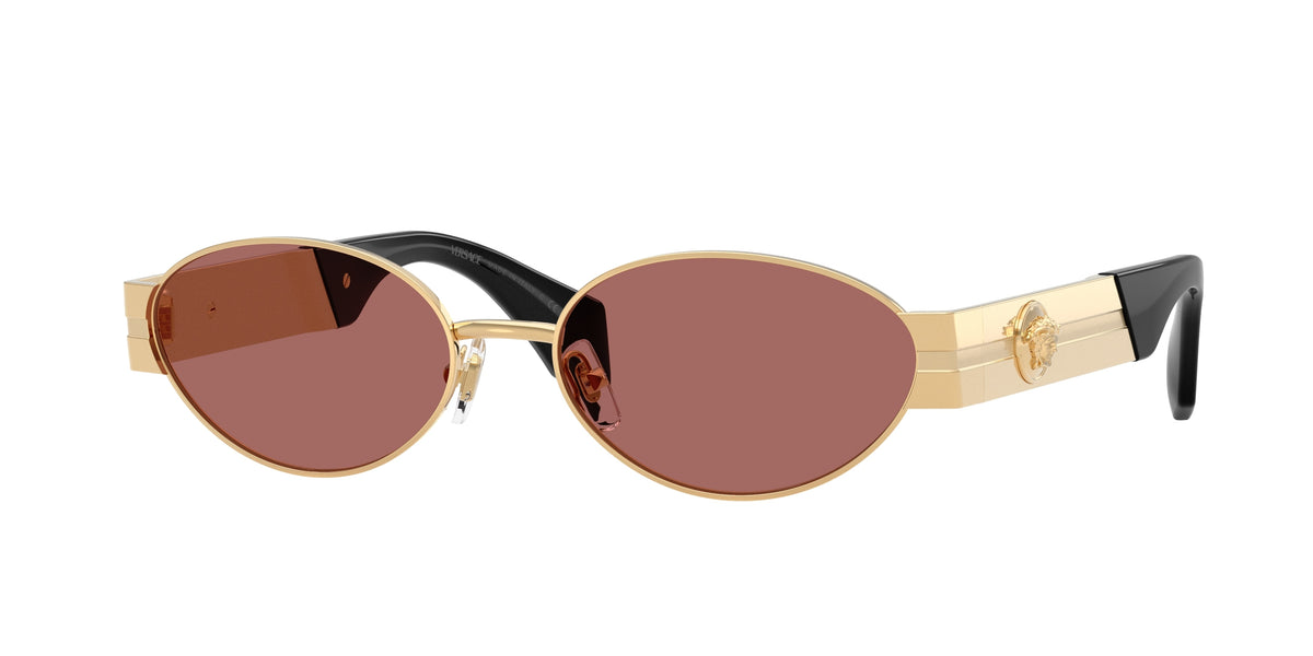 Versace VE2301