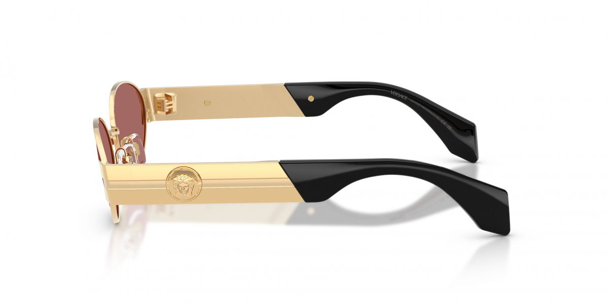 Versace VE2301