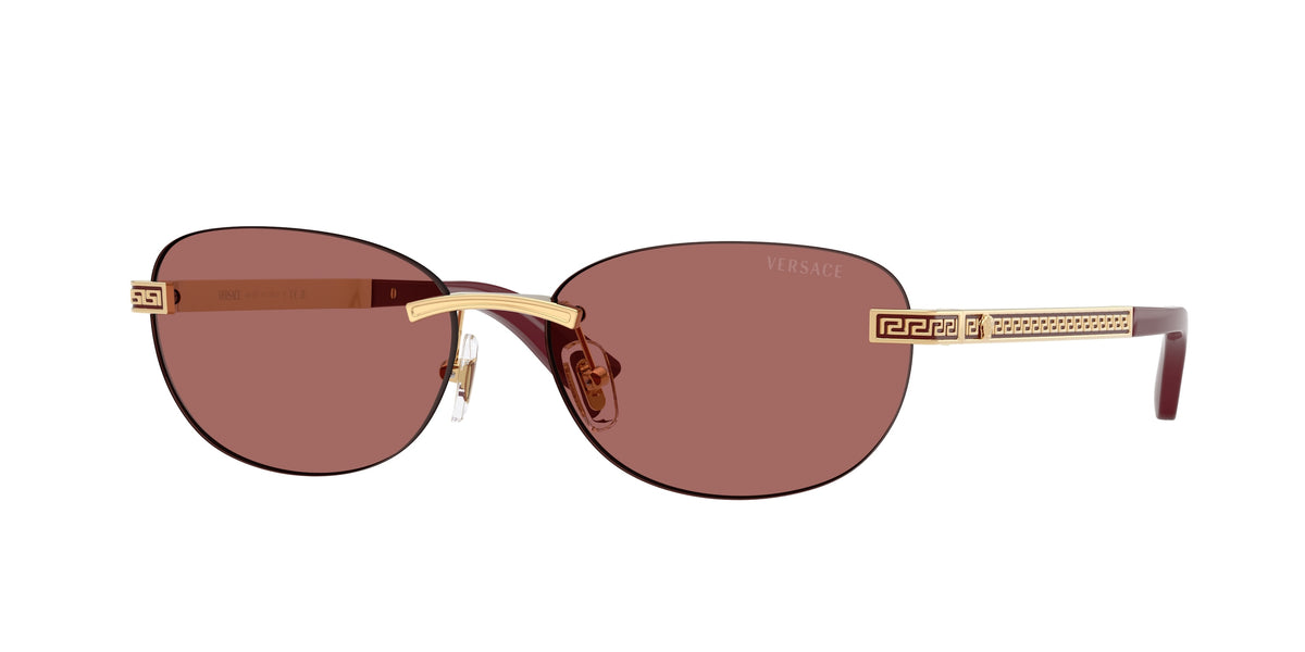 Versace VE2307
