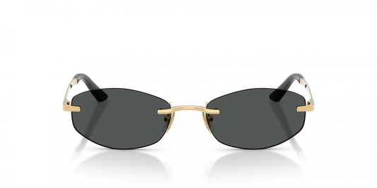 Versace VE2308D
