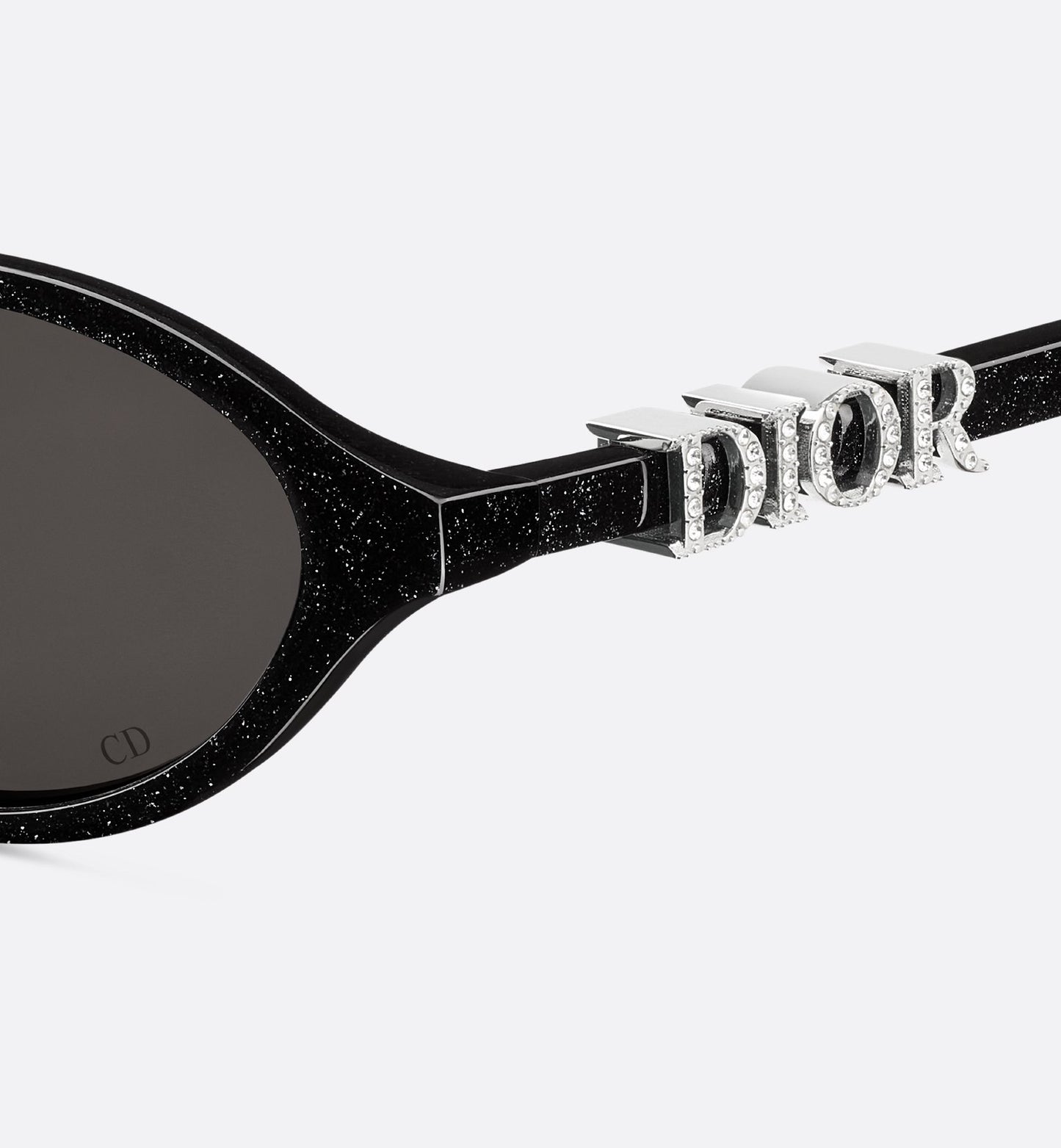 Dior DiorTreasure R1I