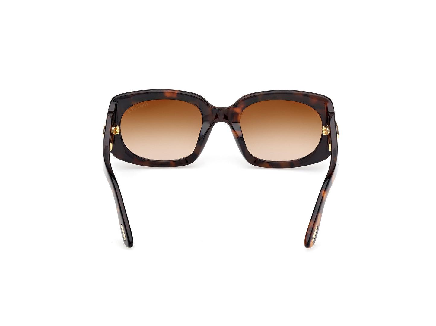 Tom Ford Icon FT1253