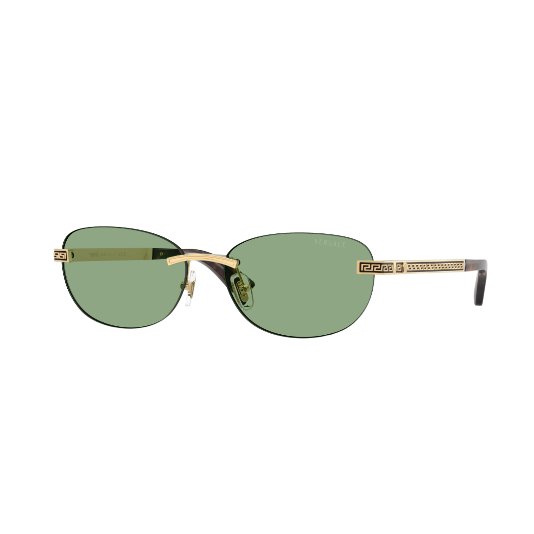 Versace VE2307