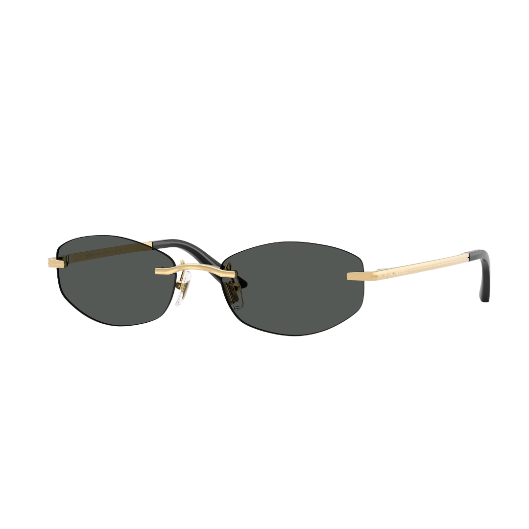 Versace VE2308D