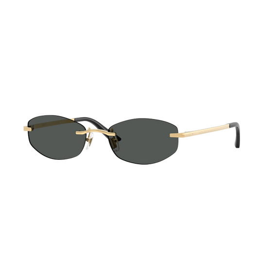 Versace VE2308D