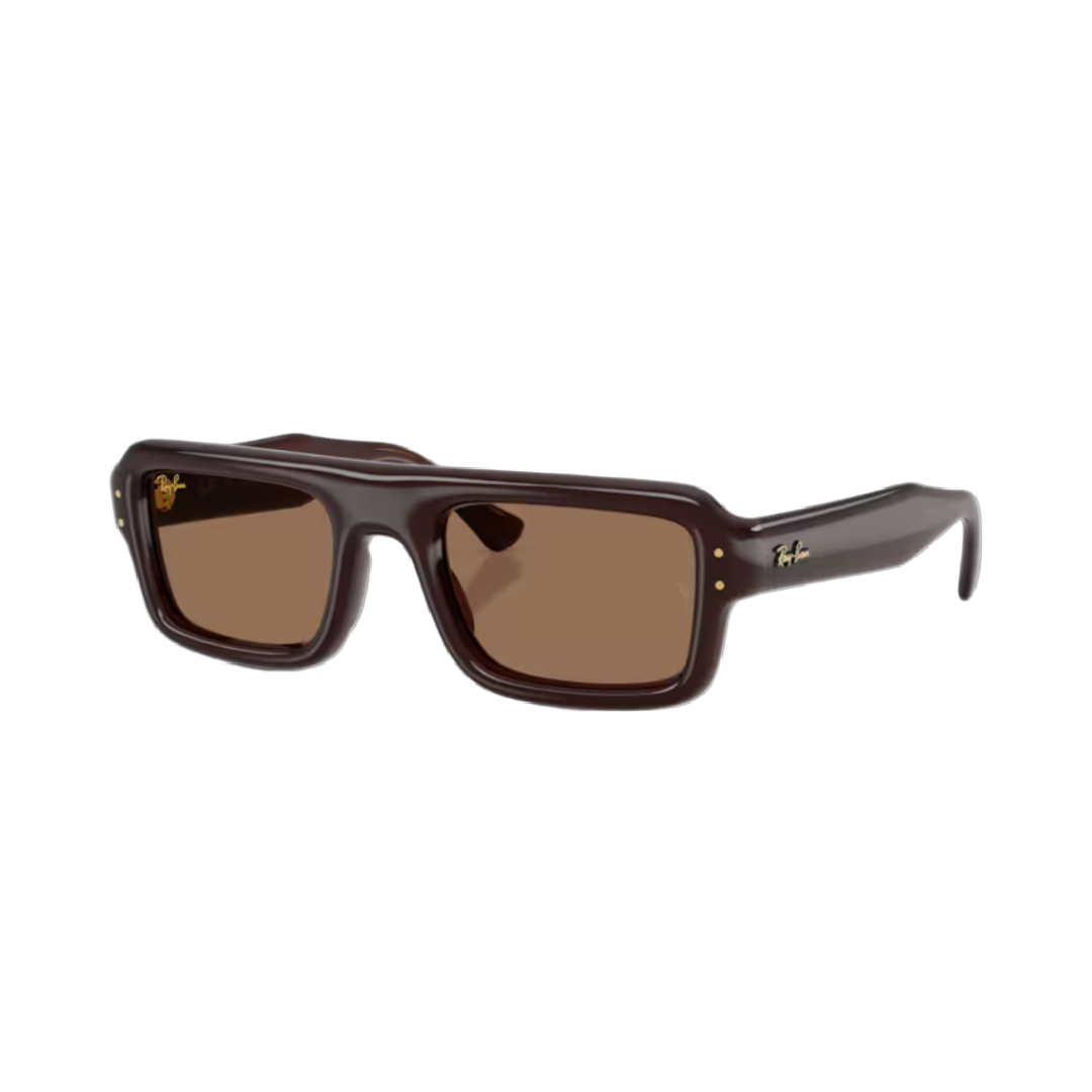 Ray-Ban RB4954