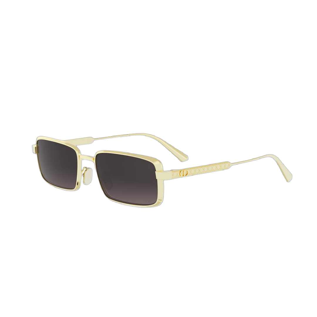 Dior DIORCANNAGE S2U