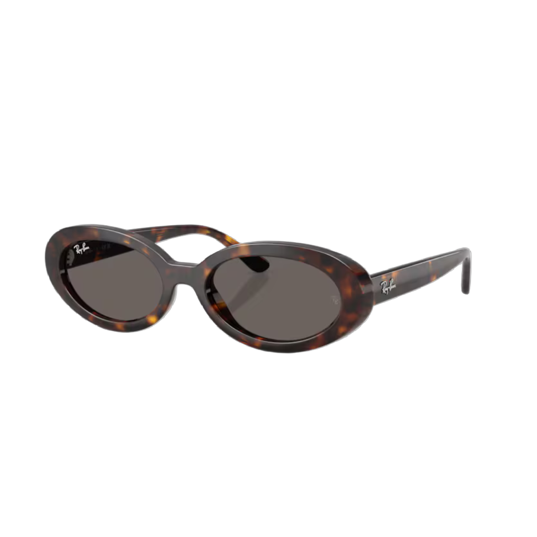 Ray-Ban RB2223