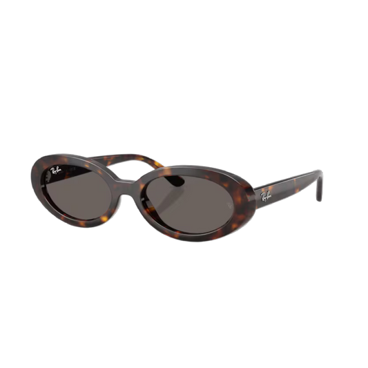 Ray-Ban RB2223